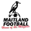 Maitland